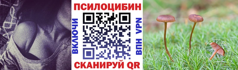 наркотики  Екатеринбург  Галлюциногенные грибы Cubensis 
