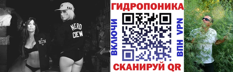 Бошки марихуана OG Kush  Екатеринбург 